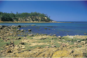 La costa del Mar de Tasmania